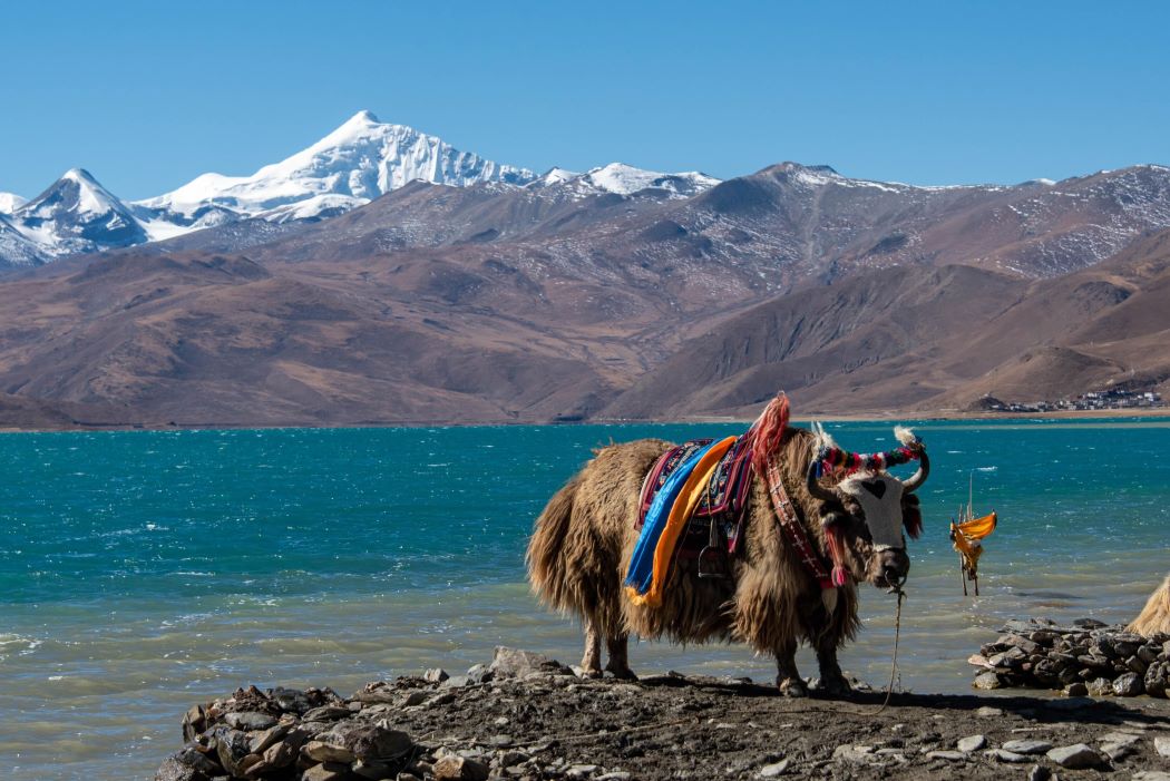 Tibet et Yunnan-1050X701