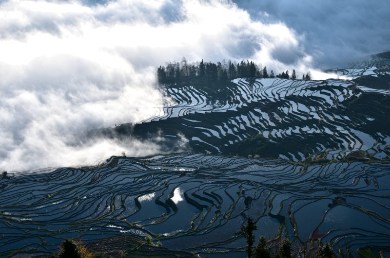 Rizieres de Yuanyang Yunnan