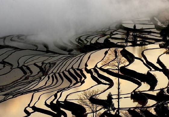 Les rizieres en terrasses de Yuanyang