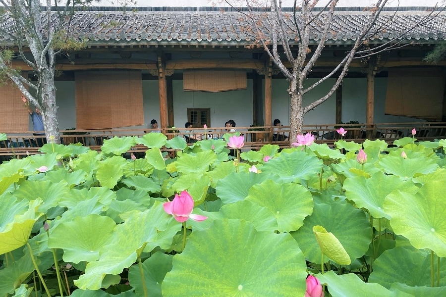 Parc de Jinan