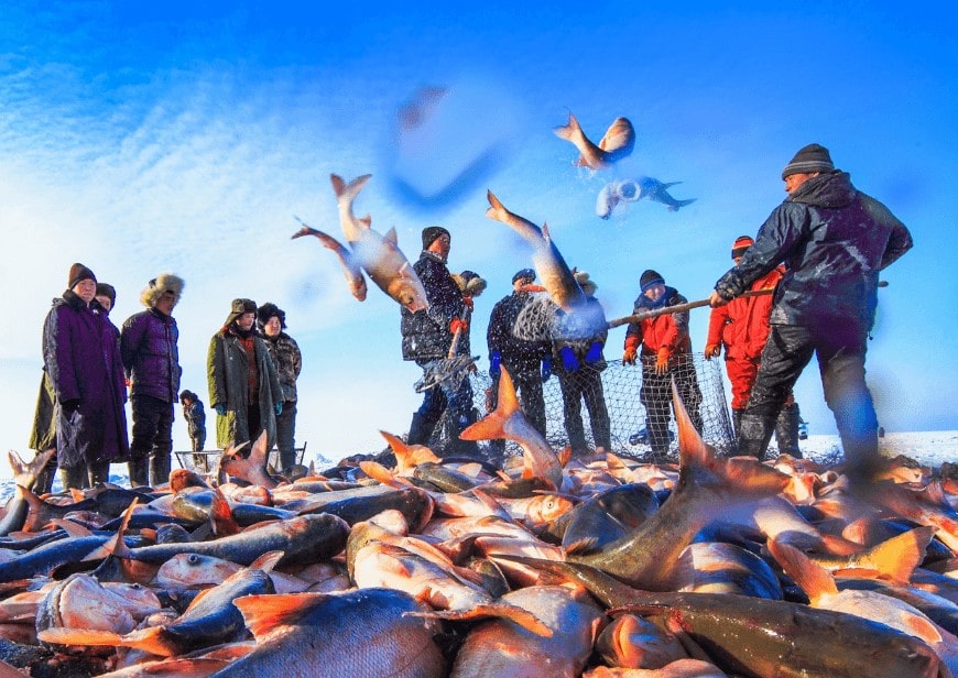 pêcheurs Heilongjiang