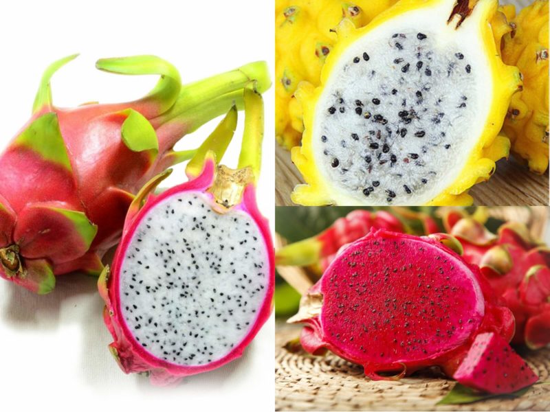 TOP 10 des Fruits exotiques chinois - Ciel Chine