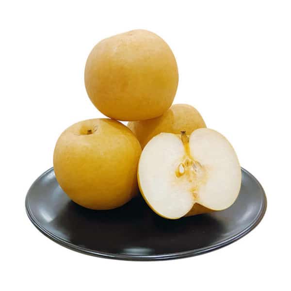 Poire chinoise Nashi (Poirier asiatique)