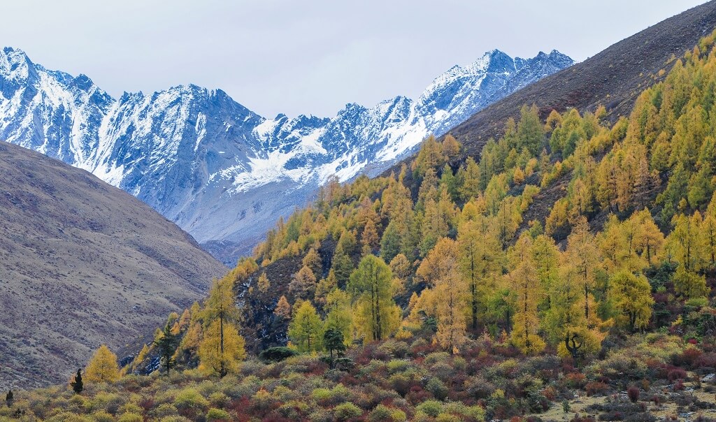 Huanglong Sichuan Chine