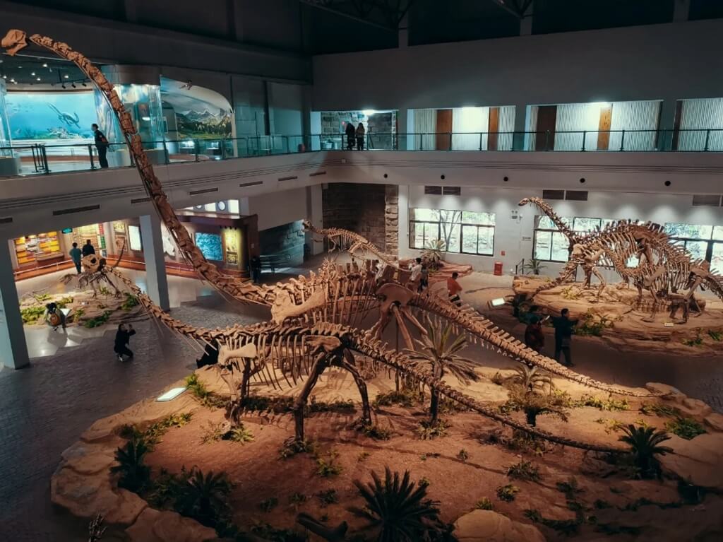 Musée des dinosaures Zigong Sichuan
