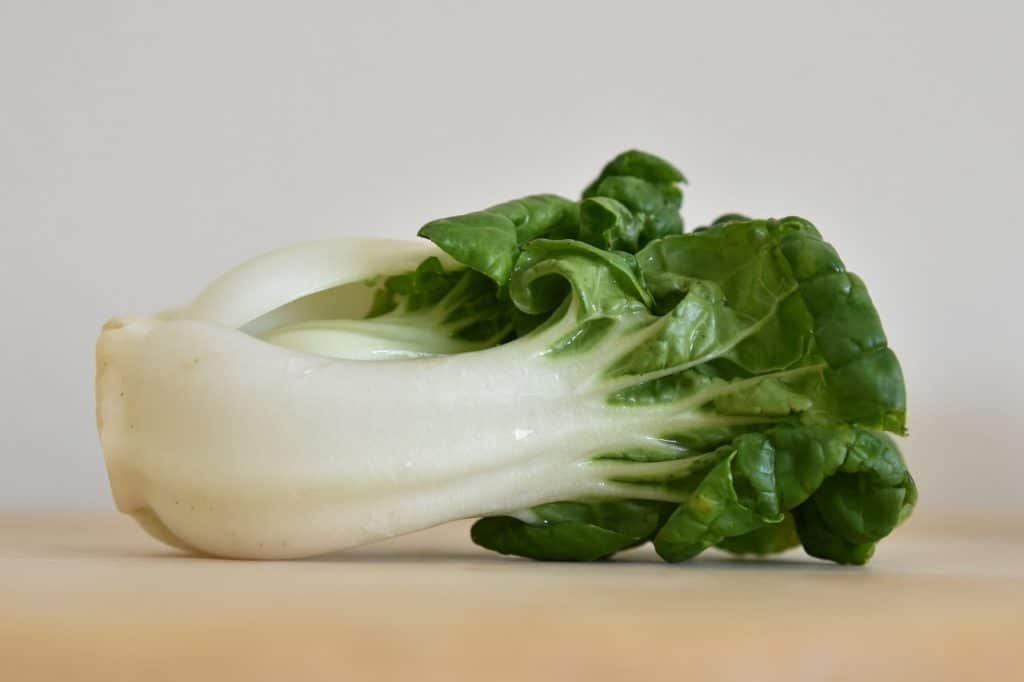 bok choy