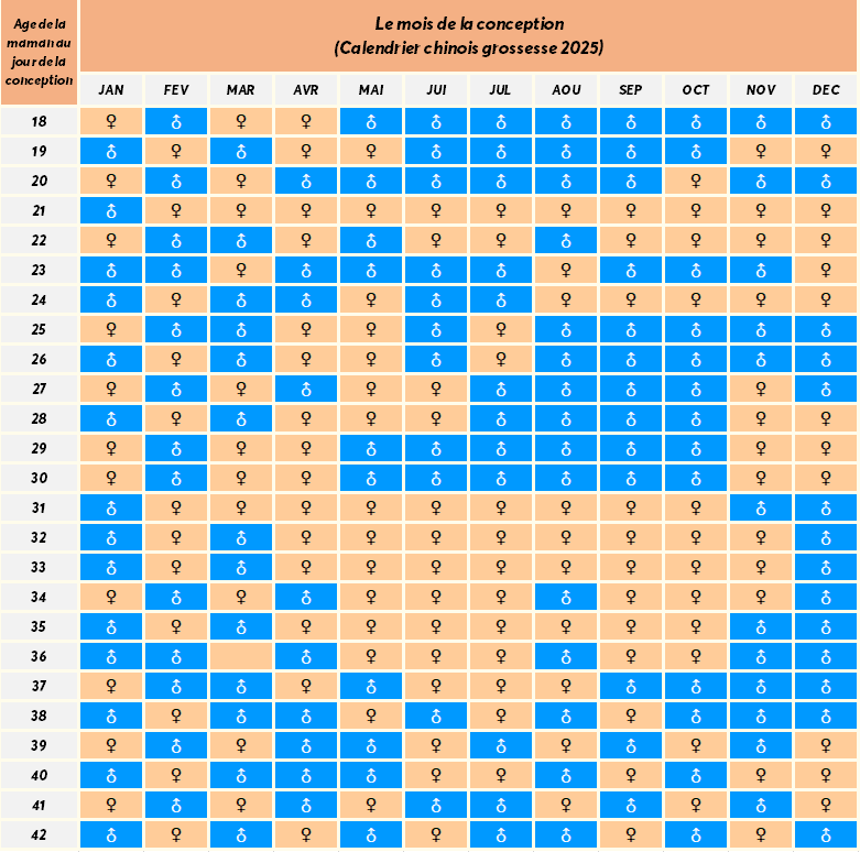 calendrier chinois grossesse 2025 calendrier chinois grossesse 2025